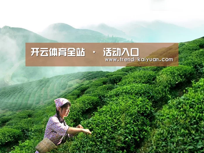 开云体育全站 · 活动入口